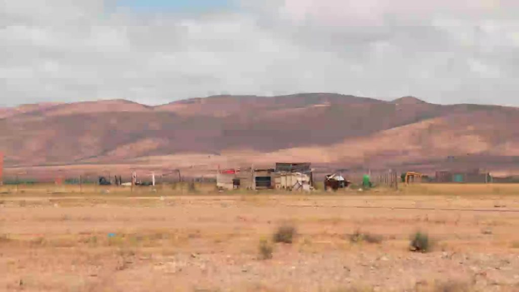 Plantation d’arbres et restauration des oasis